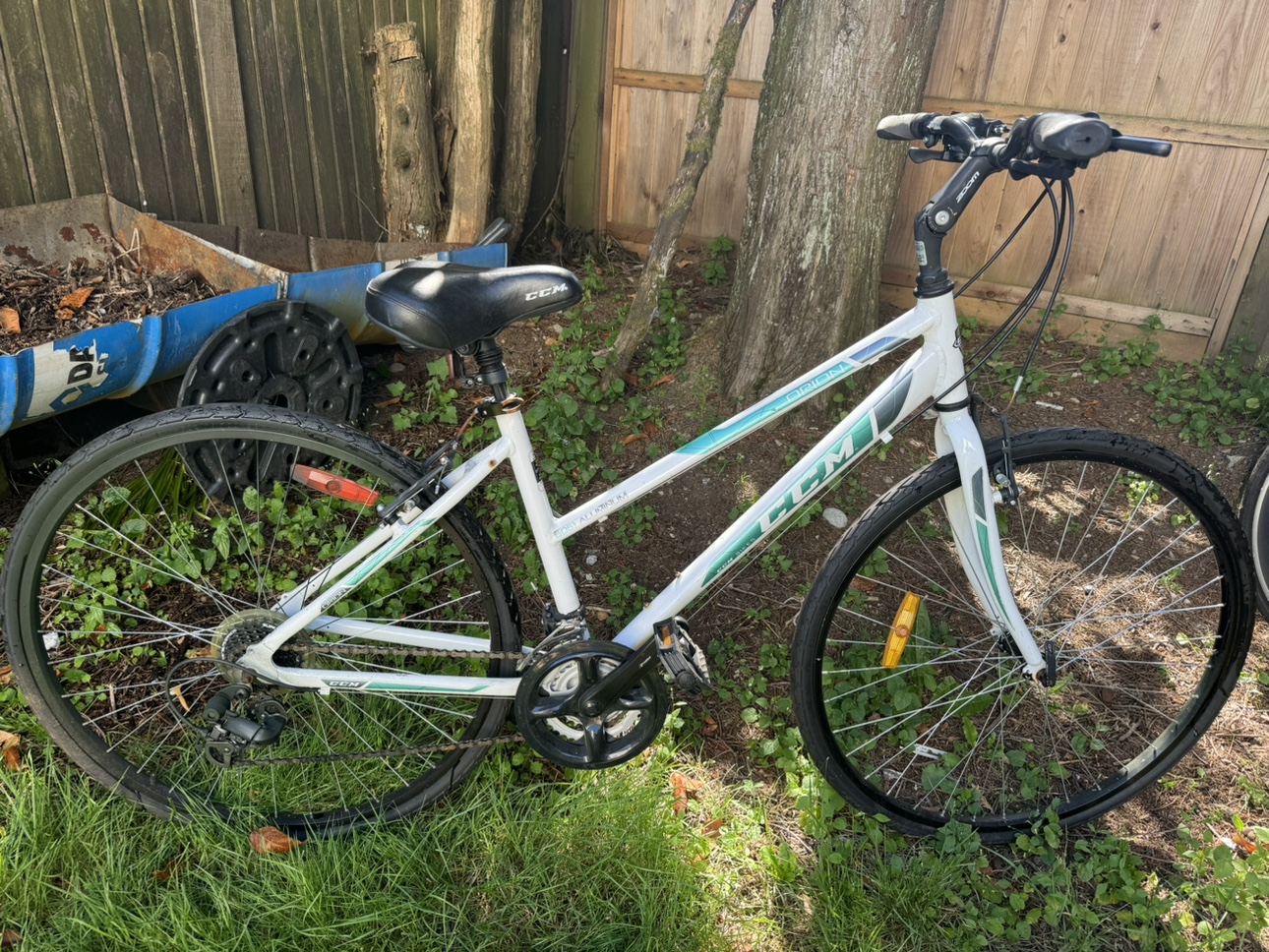 women’s bike