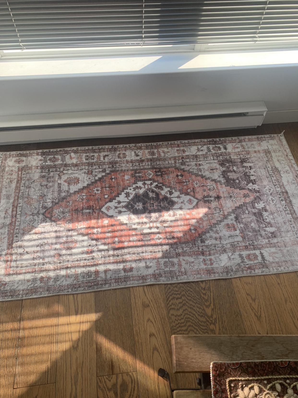 Rug