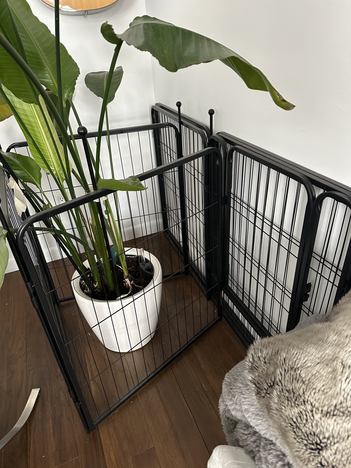 Puppy Pen