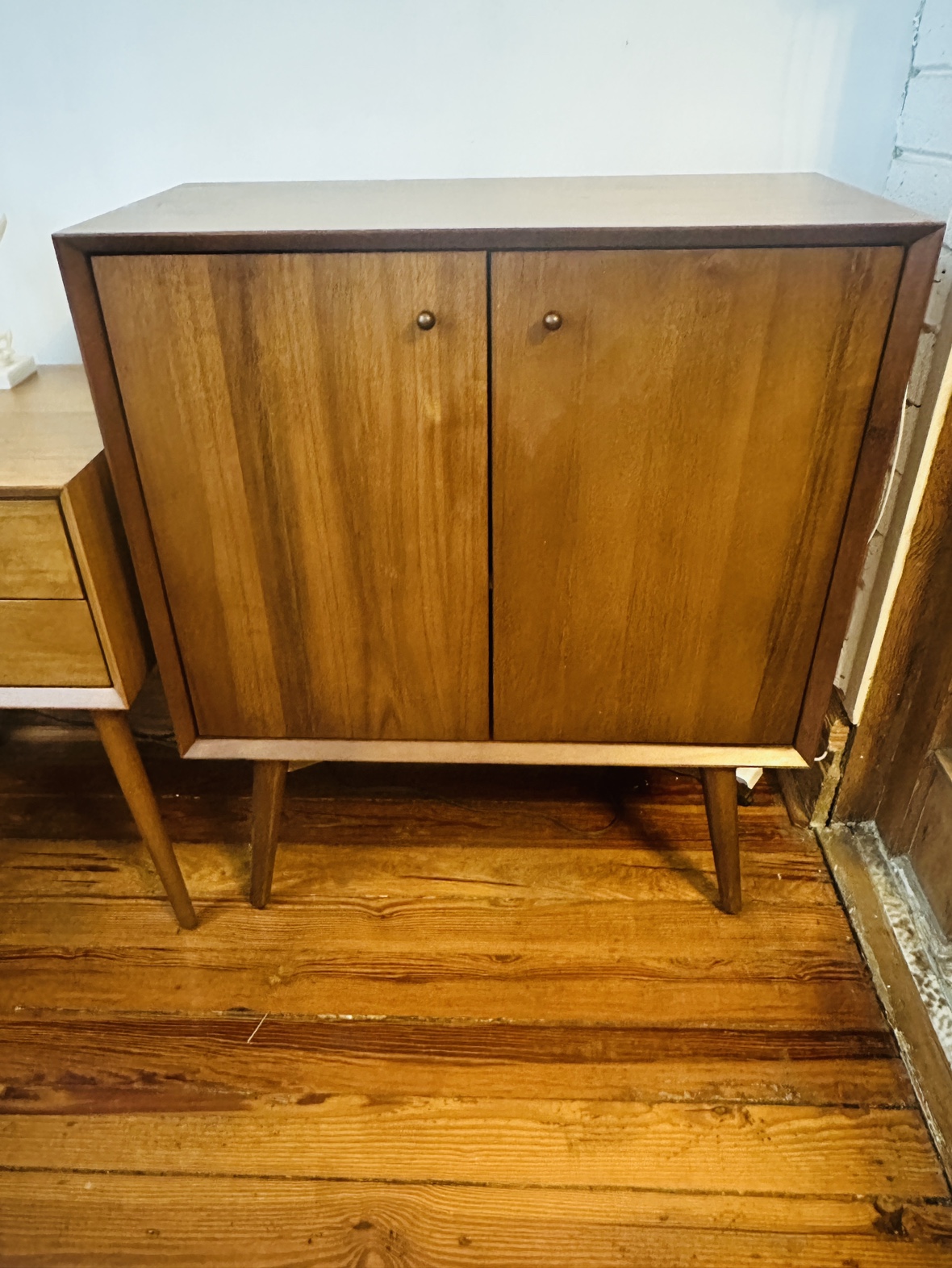 West Elm Mid-century Cabinet