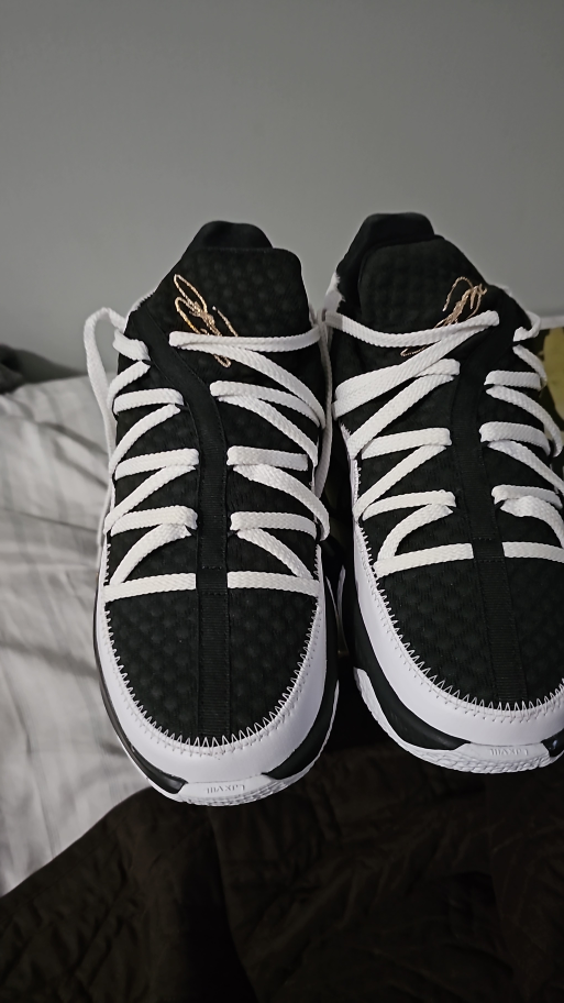 lebron james 17 - photo 4