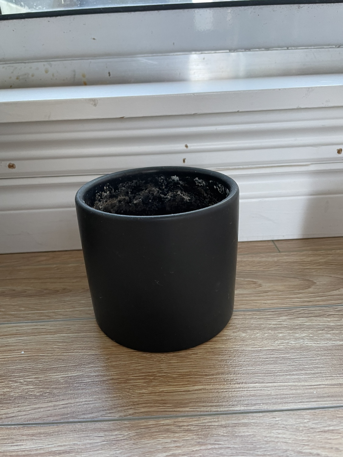 Plant pots FREE - photo 2