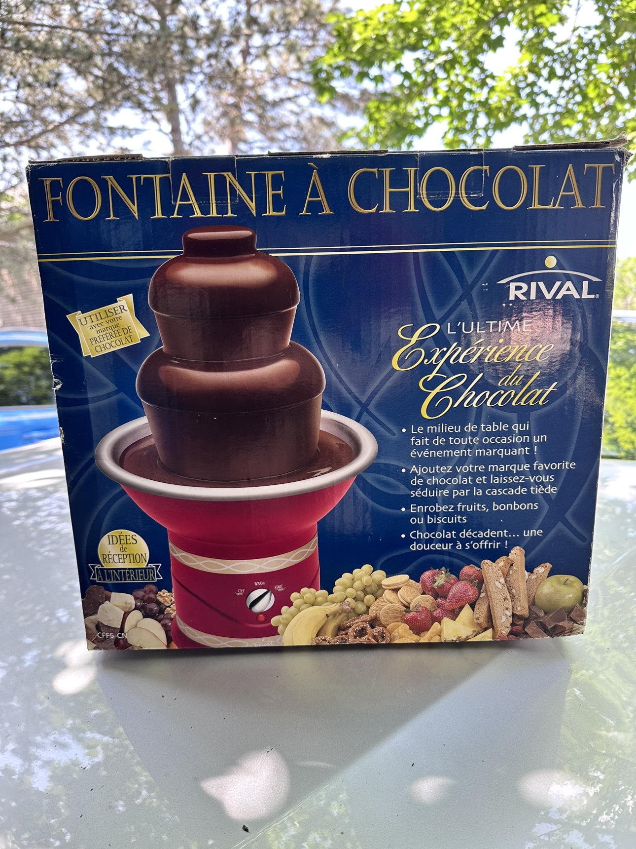 Rival Chocolate Fountain