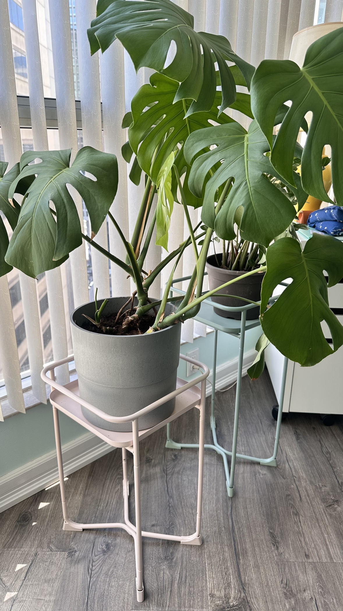 Pair of Teal and Pink Plant Stands