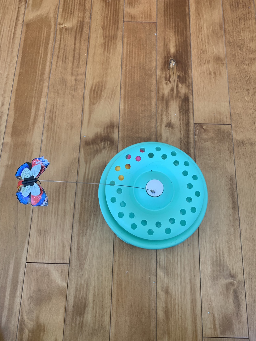 Cat/Kitten  toys - photo 3