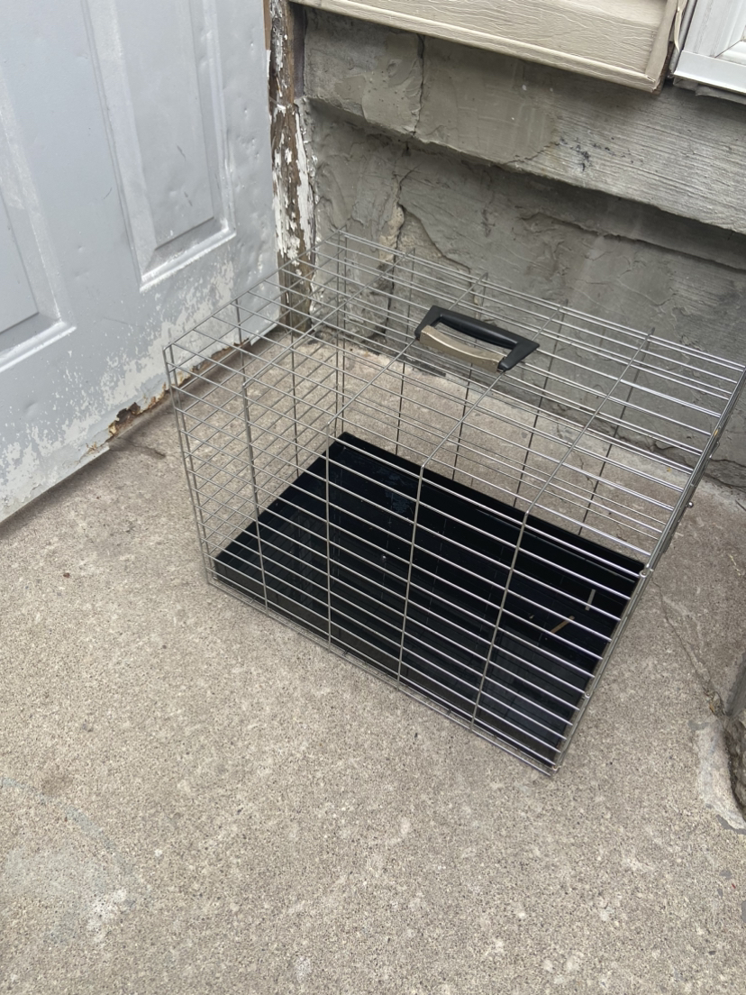 Pet Crate - photo 2