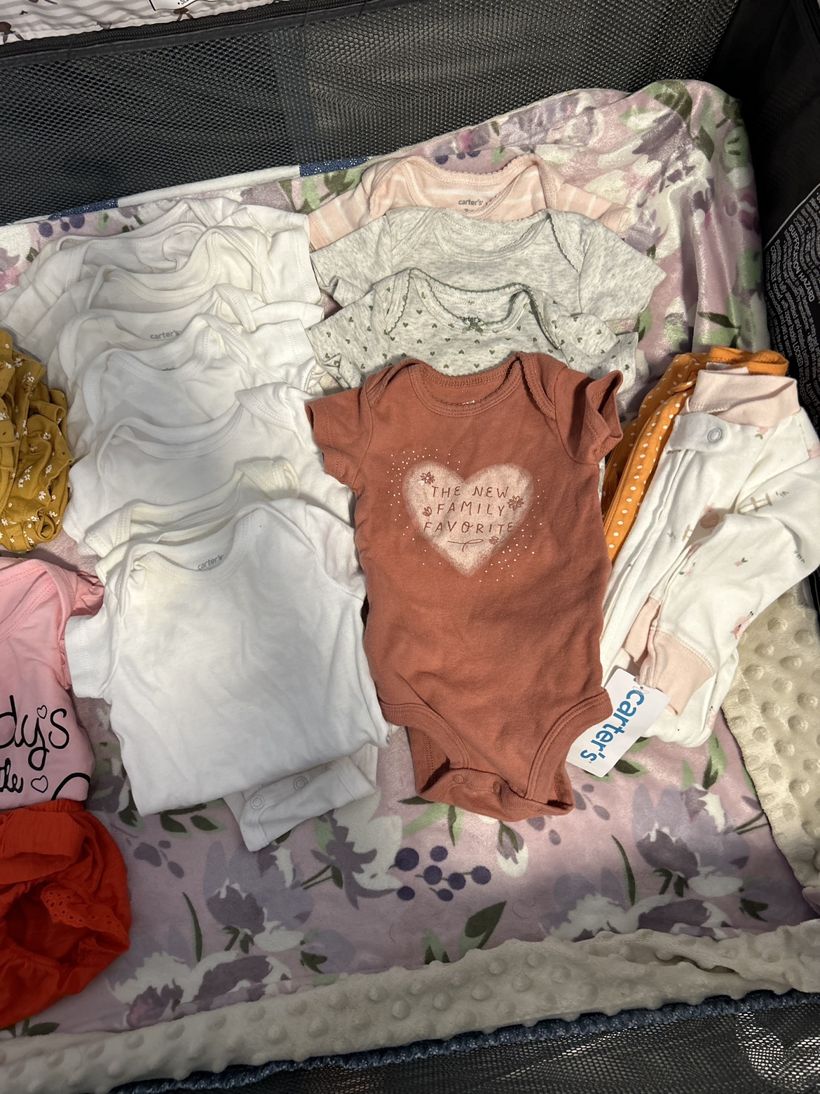 Lots of 3 months old baby-girl clothing $20 for everything image indicator(2)