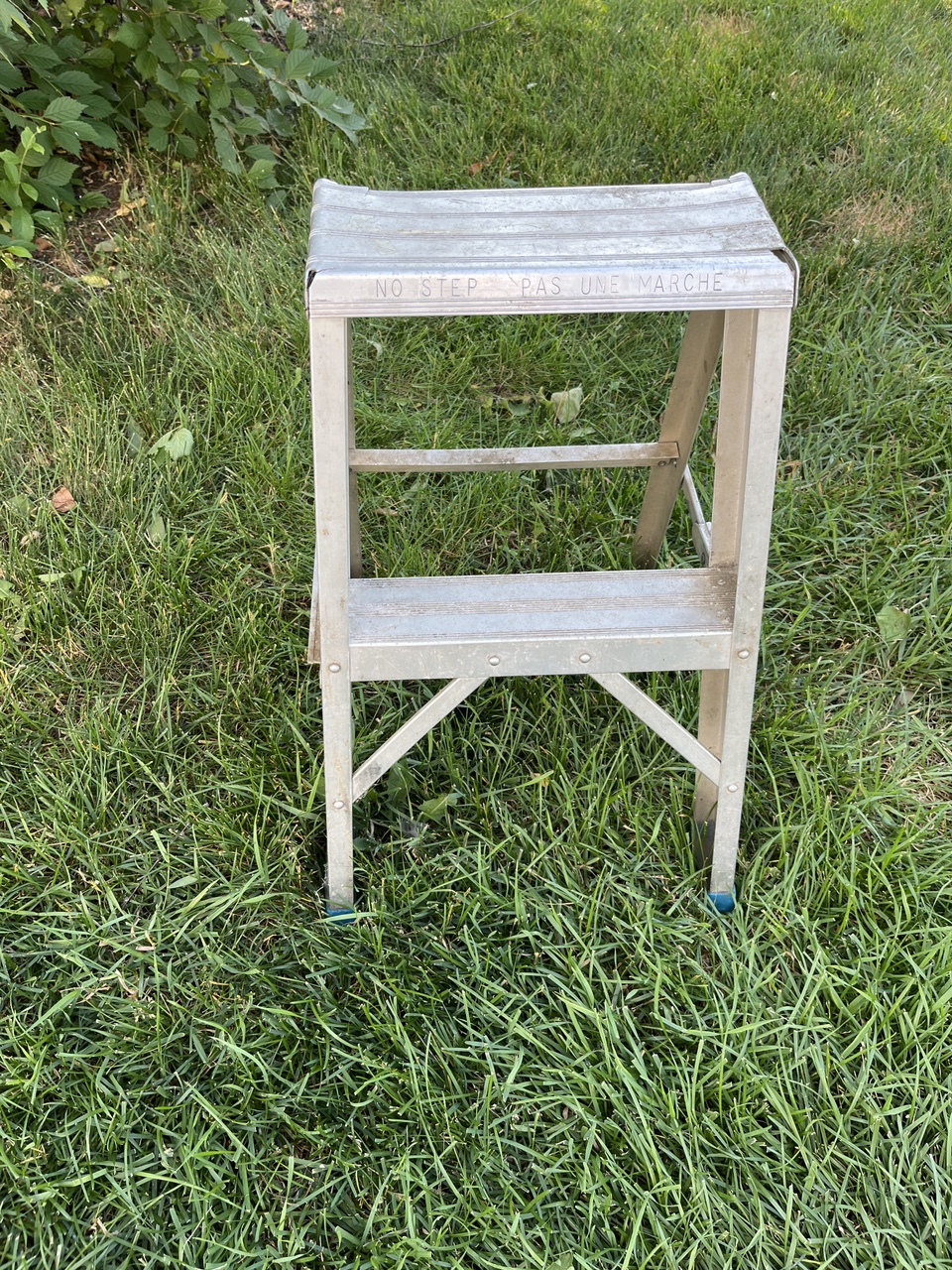 Step ladder