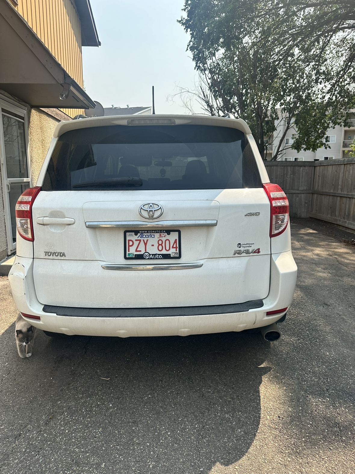 2010 Toyota Rav 4 - photo 4