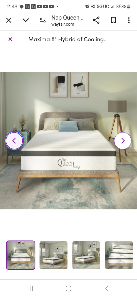 Nap Queen 8 inch. Maxima Hybrid Mattress