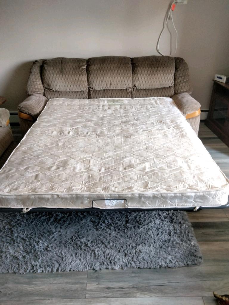 Love seat & sleeper couch (2pcs)