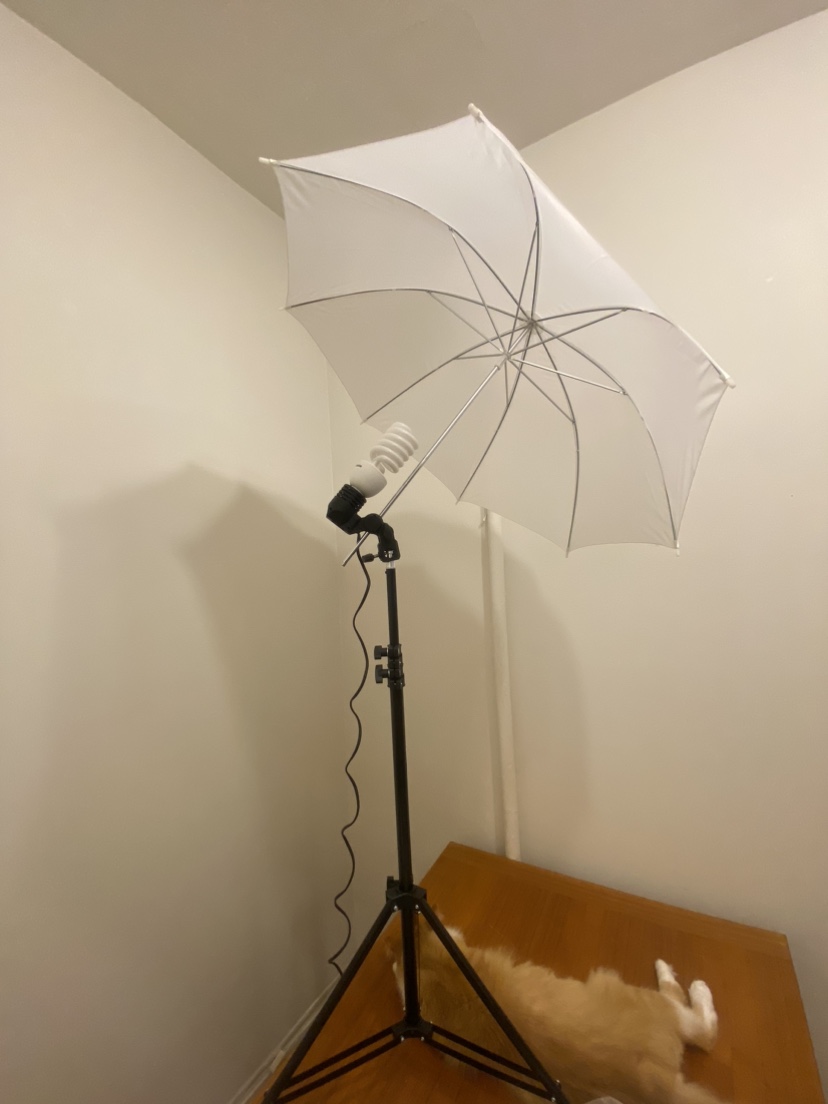 Photoshoot Lighting Equipment - photo 2