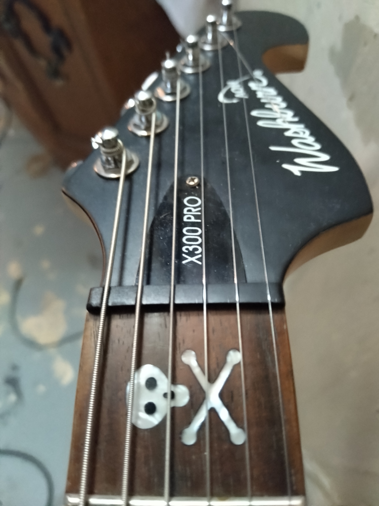 Washburn X300 Pro. **RARE**