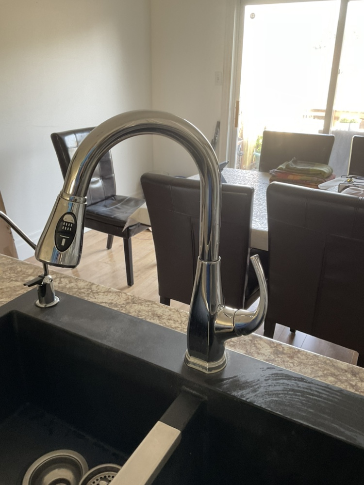 Artika Black Double Bowl Sink with Faucet - SOLD - photo 5