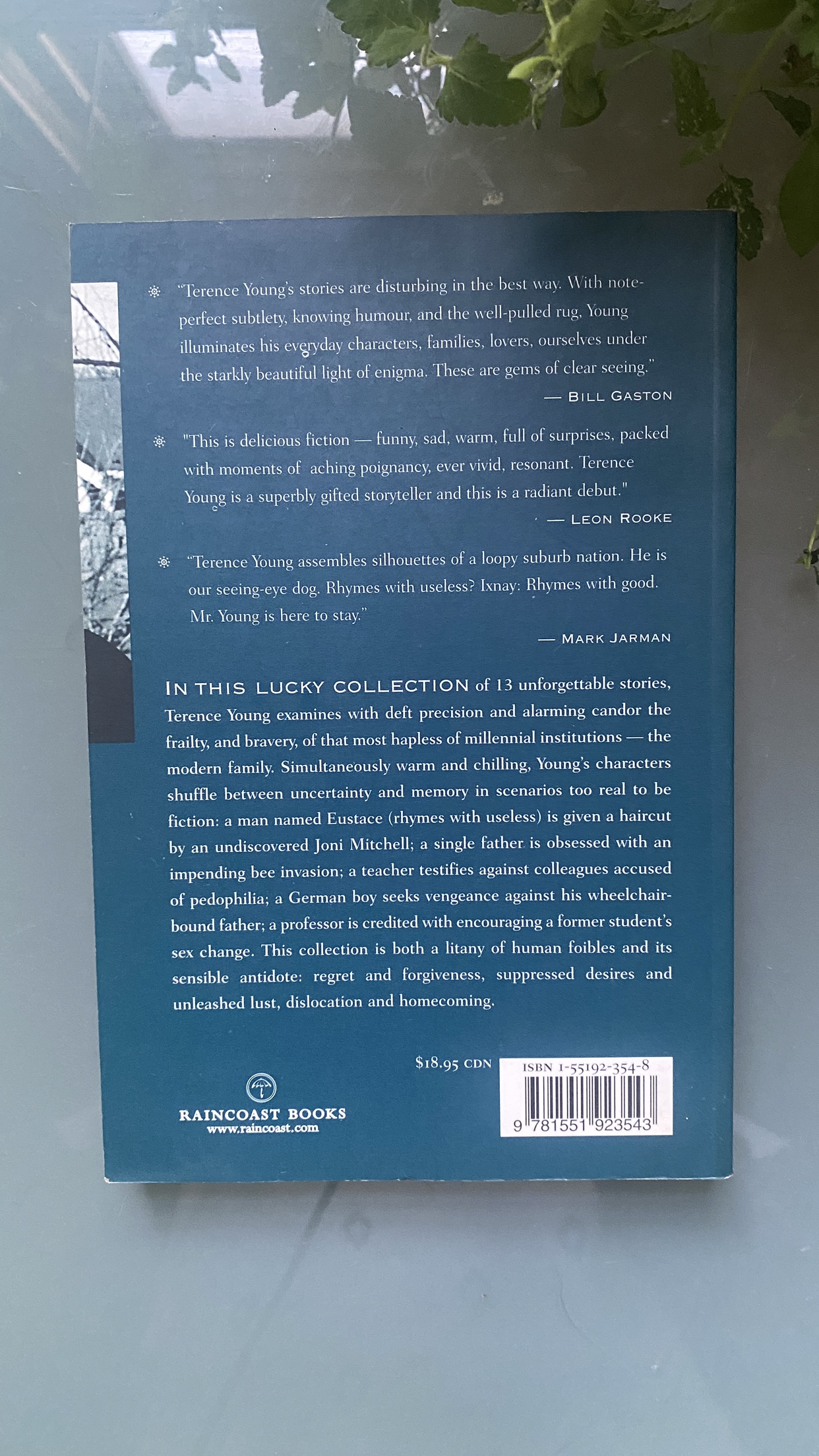 Book: Rhymes with Useless - Terrance Young image indicator(2)