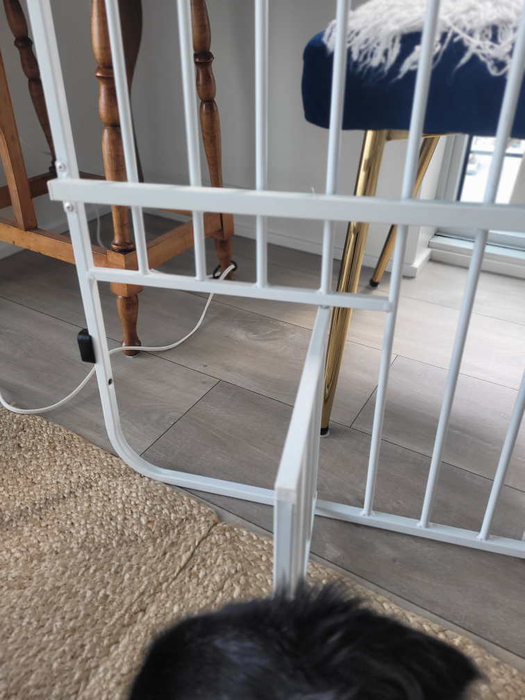 dog gate image indicator(2)