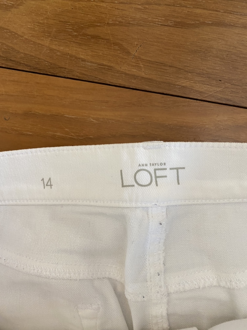 Ann Taylor LOFT white cotton skirt image indicator(3)