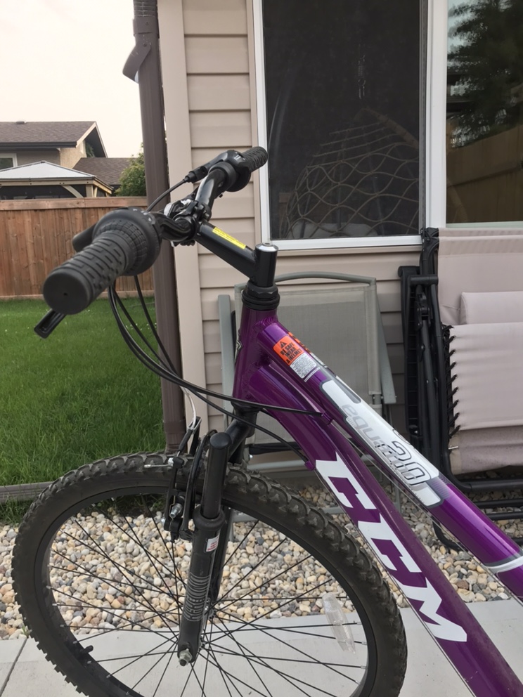 Mountain Bike - photo 2