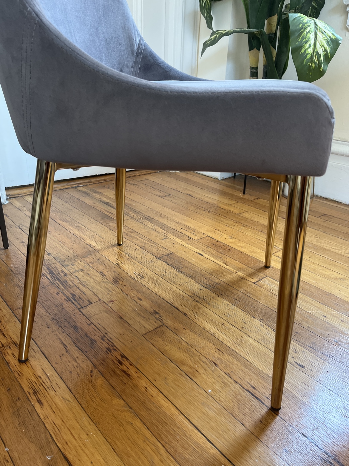 2 Velvet Dining Chairs with Gold Legs - photo 4