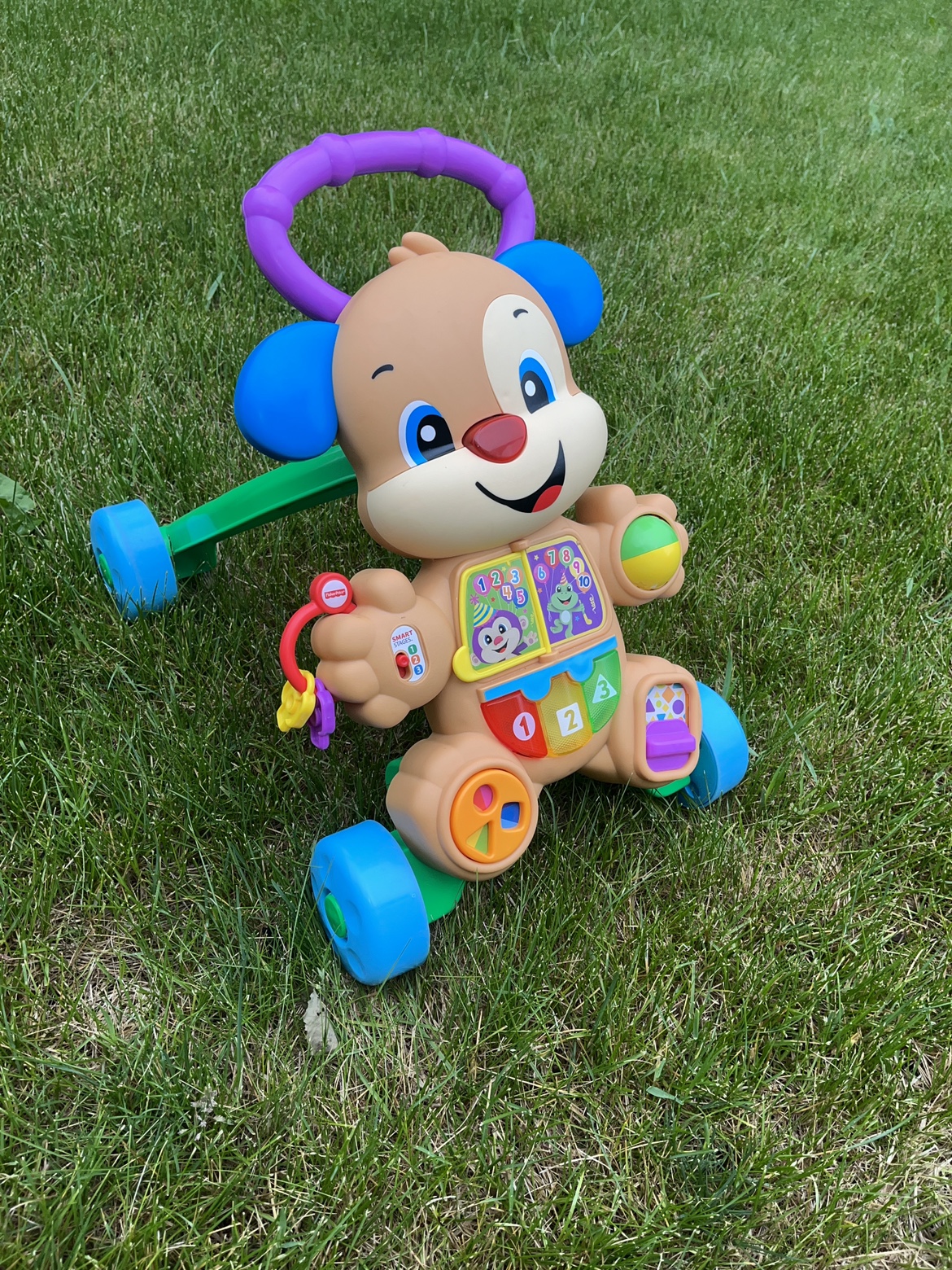 Fisher Price Baby Walker - photo 2