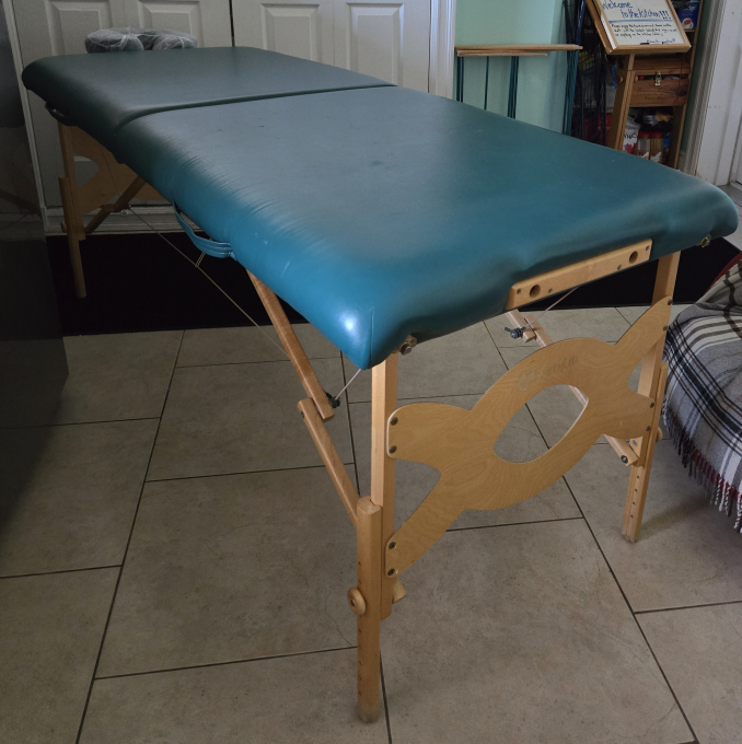 🥕 Earthlite Avalon Juniper Professional RMT Massage Table - EUC image indicator(6)