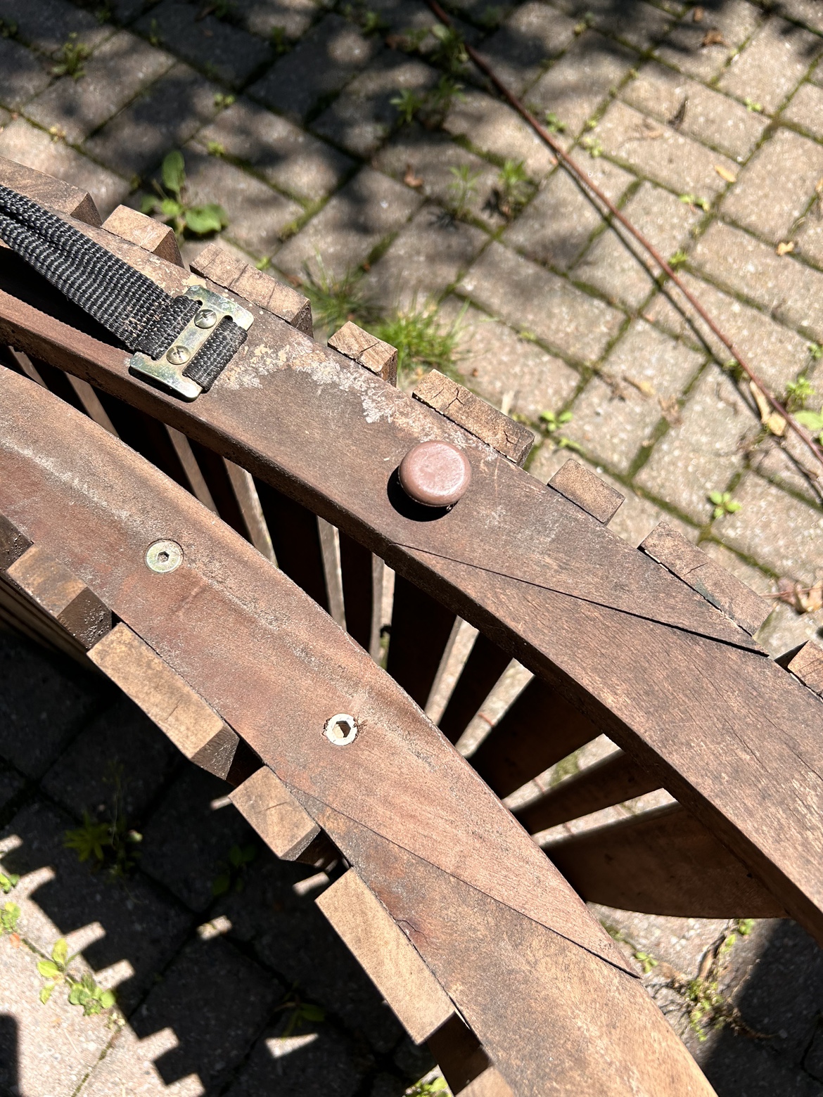 Lounge Chairs (outdoor) image indicator(3)