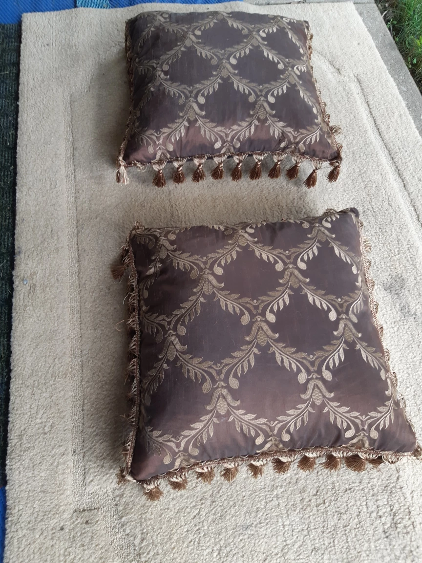 elegant set of two cushions