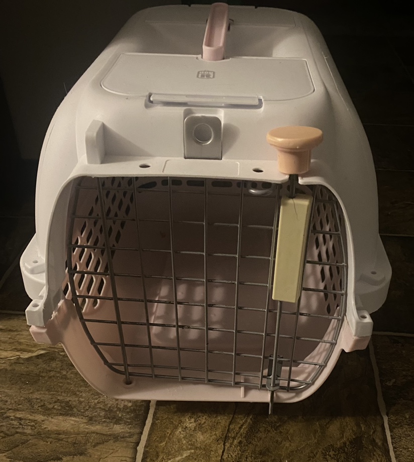 Small Dog Carrier
