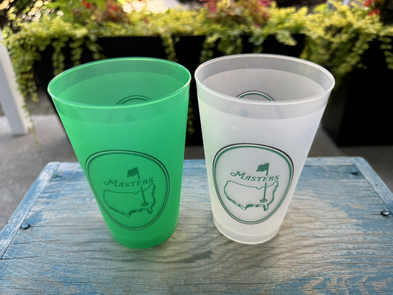 Assorted Master cups image indicator(5)