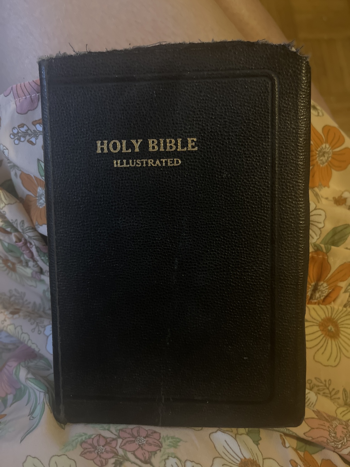 Illustrated bible