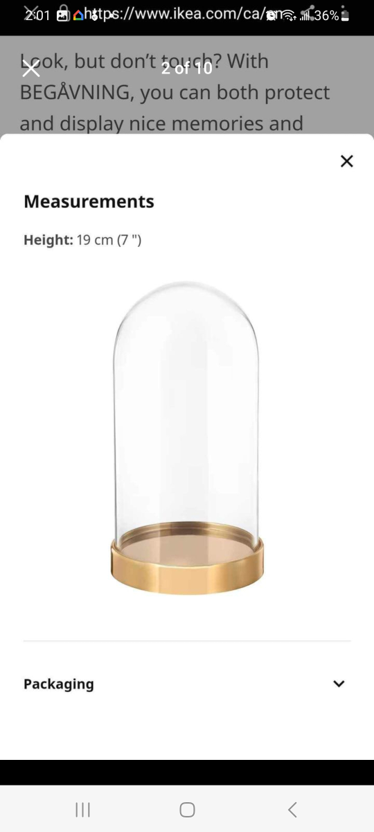 Brand new 2 ikea glass domes with base. image indicator(6)