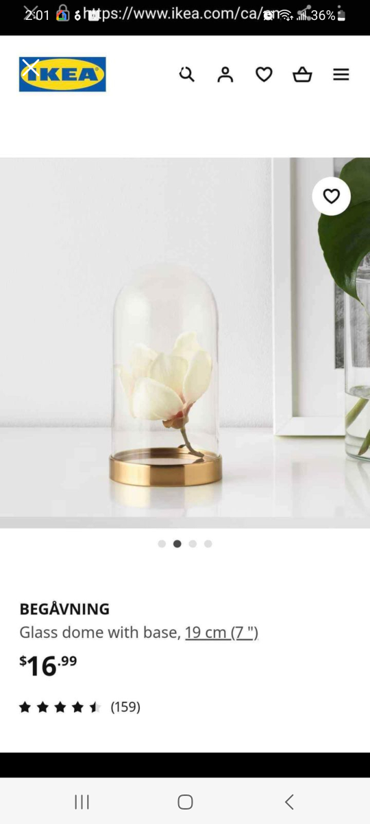 Brand new 2 ikea glass domes with base. image indicator(7)