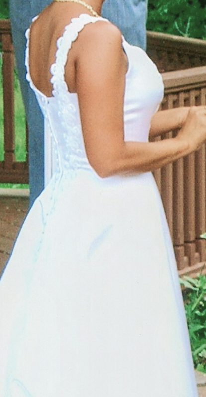 Wedding Dress - Size 8 image indicator(4)