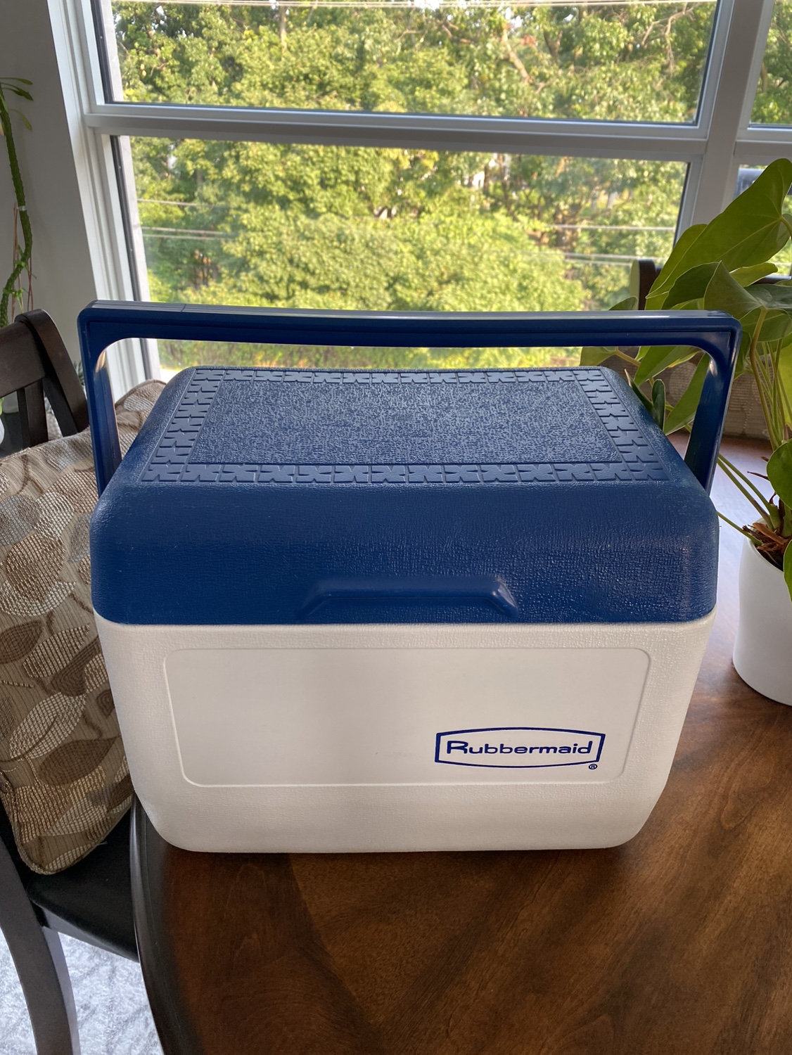 #freecycle Cooler thumbnail