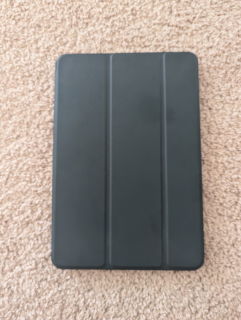 iPad Mini 1