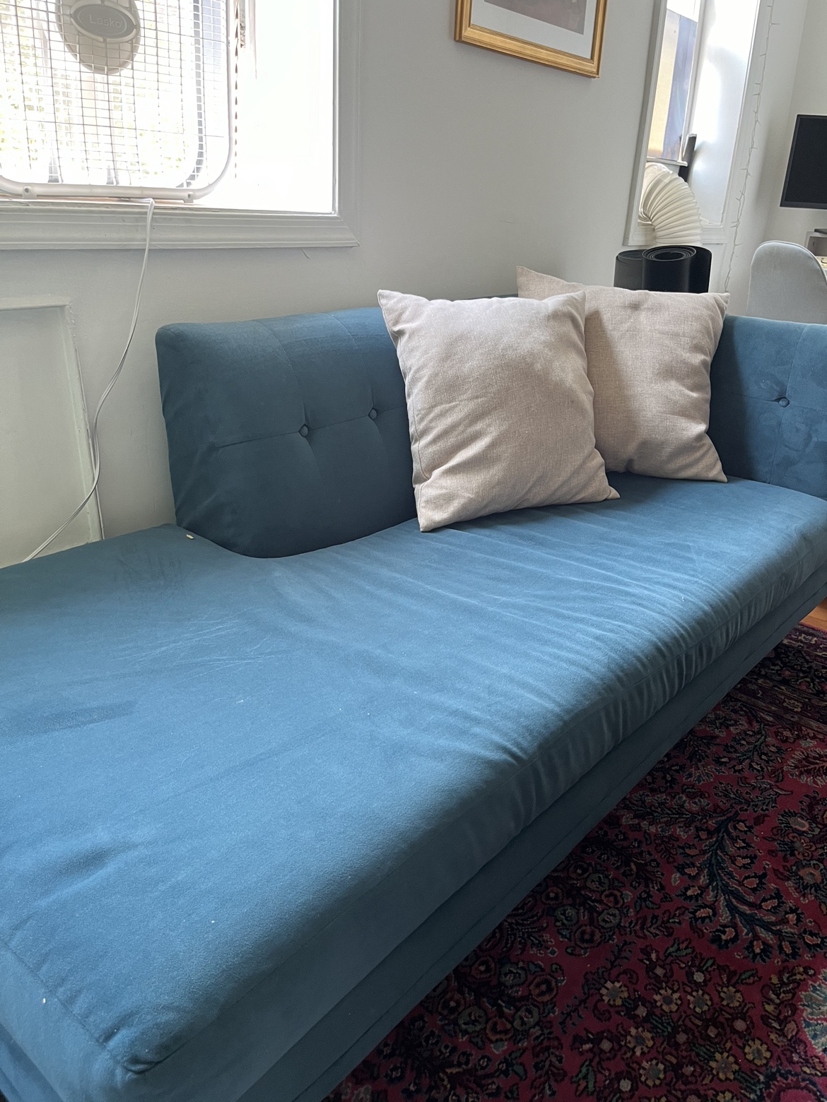 Blue velvet couch