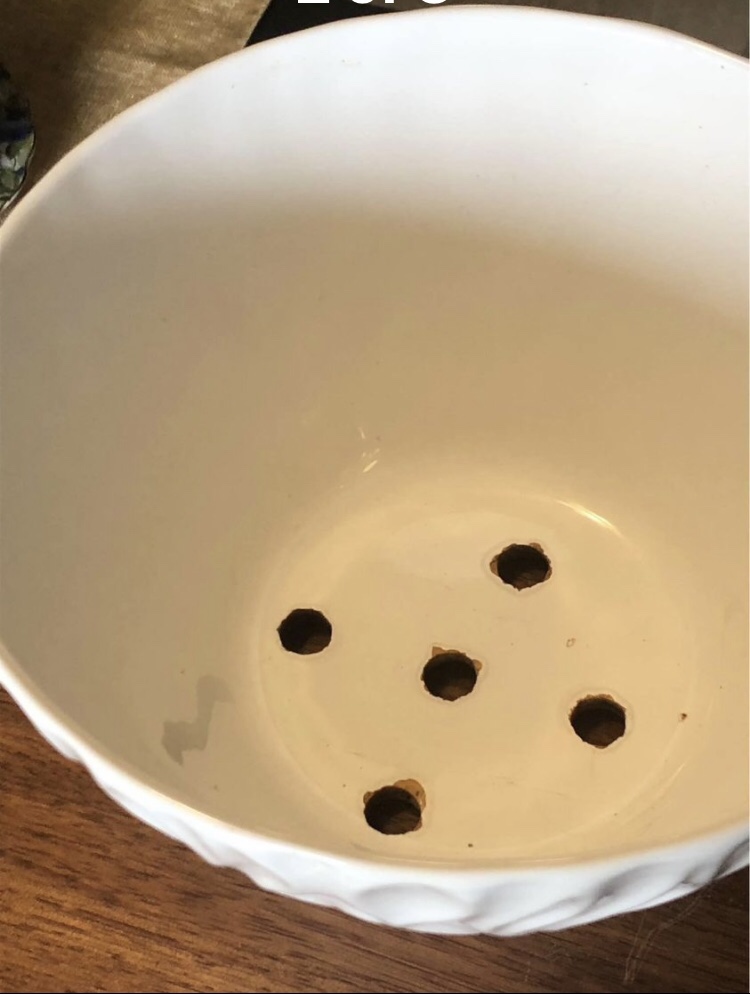 Ceramic Planter    (Given) - photo 3