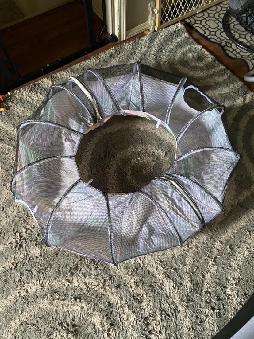 Cat tunnels image indicator(3)