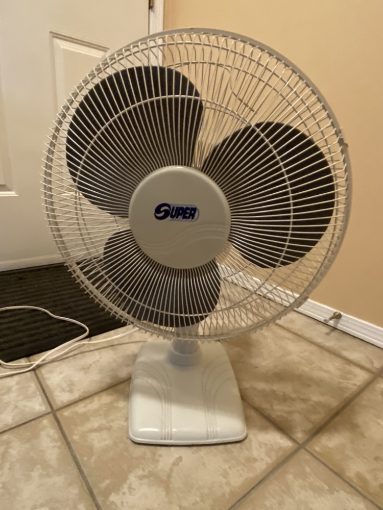 Oscillating 15” Fan