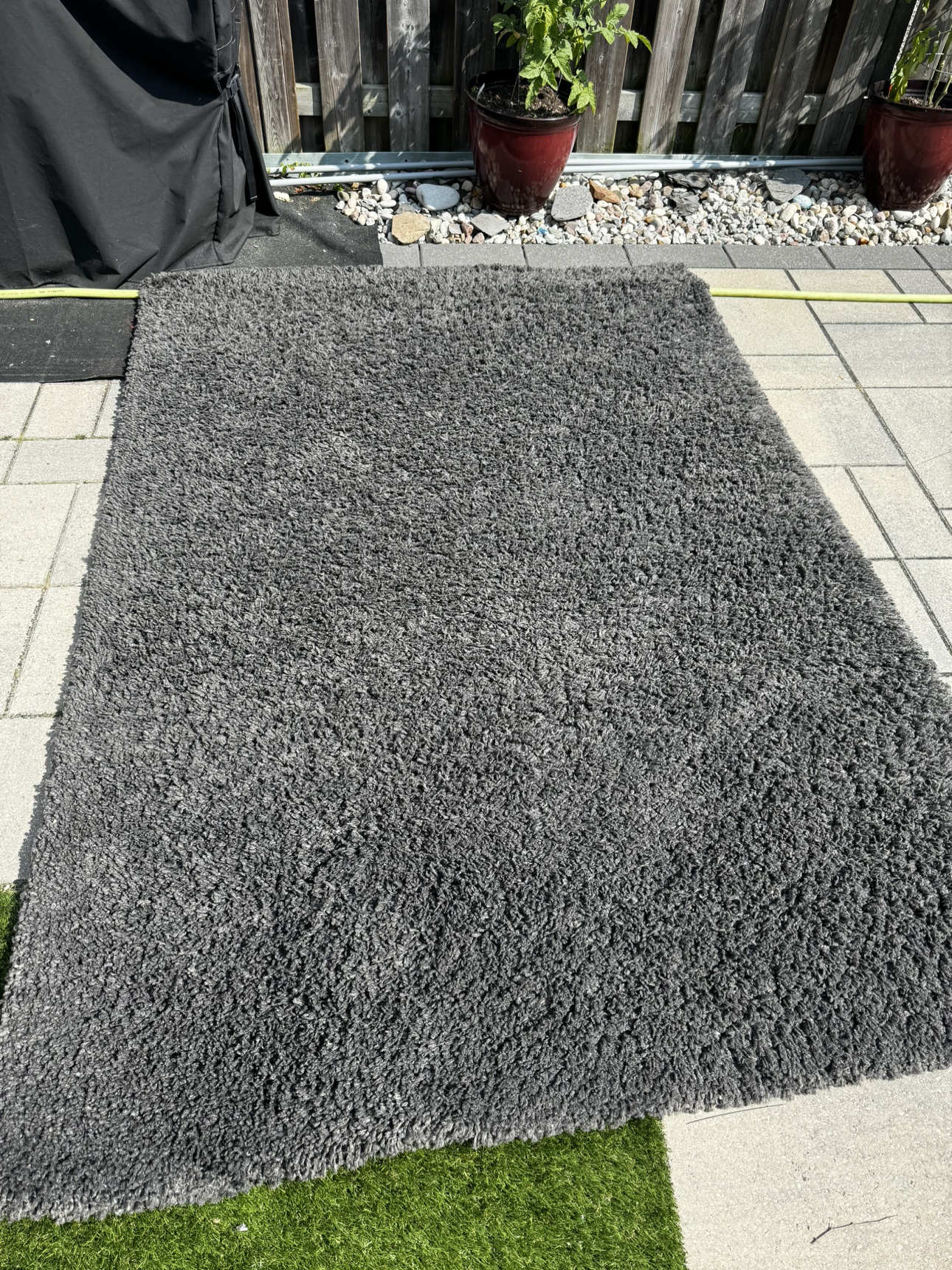Shag Rug