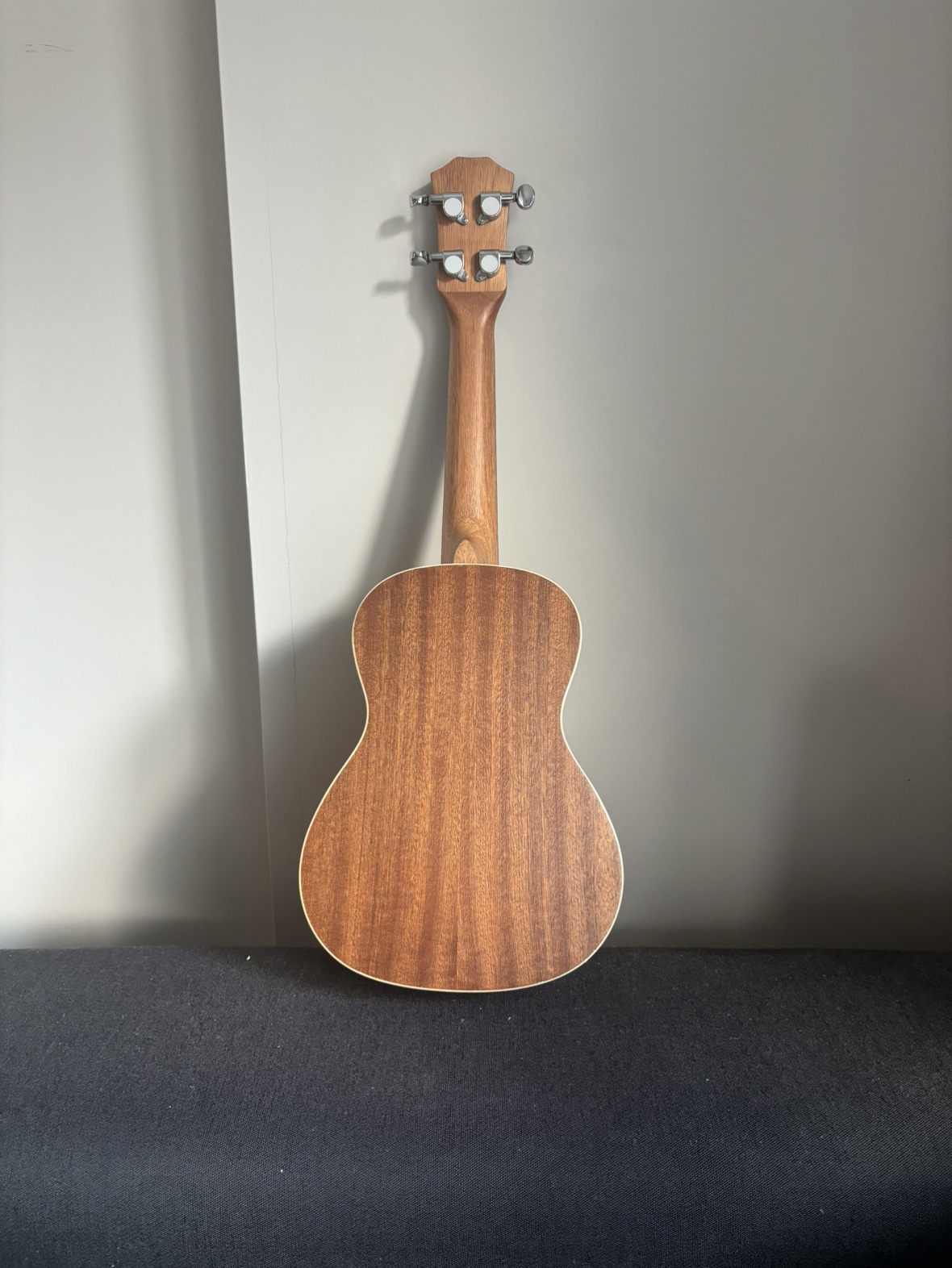 Ukulele kit image indicator(3)