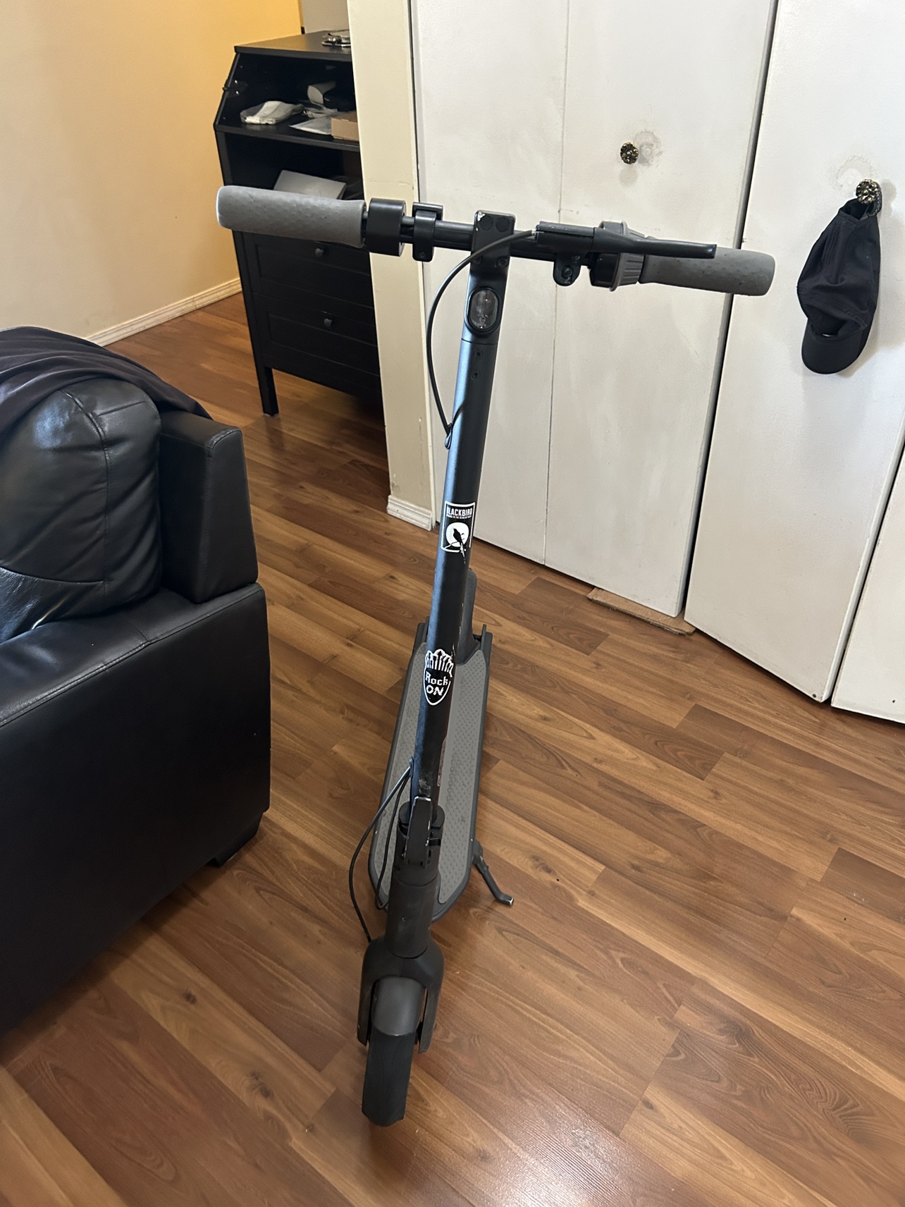 Segway ninebot G30P max - photo 4