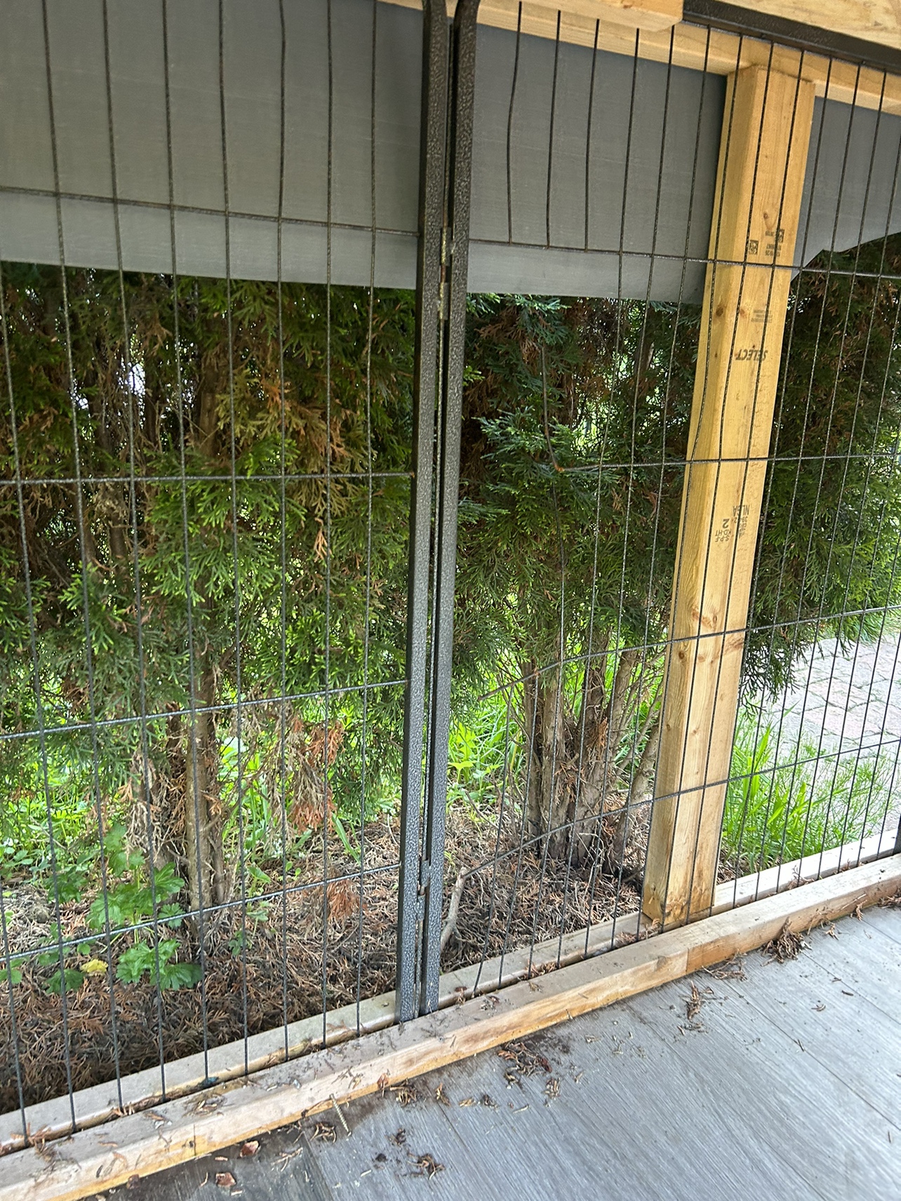 Outdoor dog house image indicator(3)