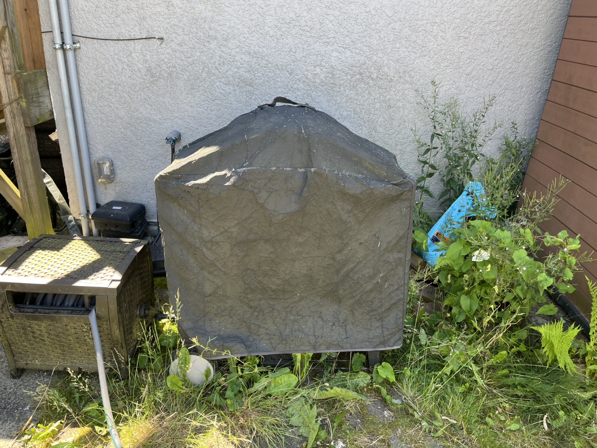 BBQ - photo 5