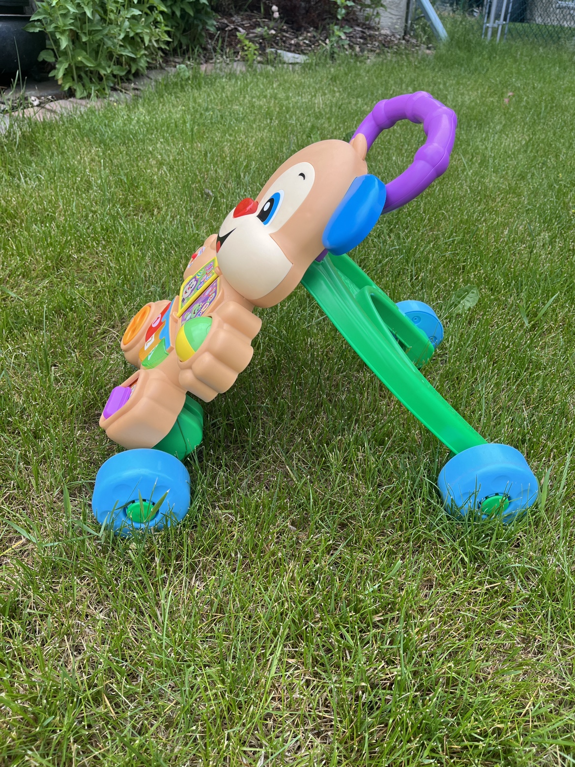 Fisher Price Baby Walker - photo 3