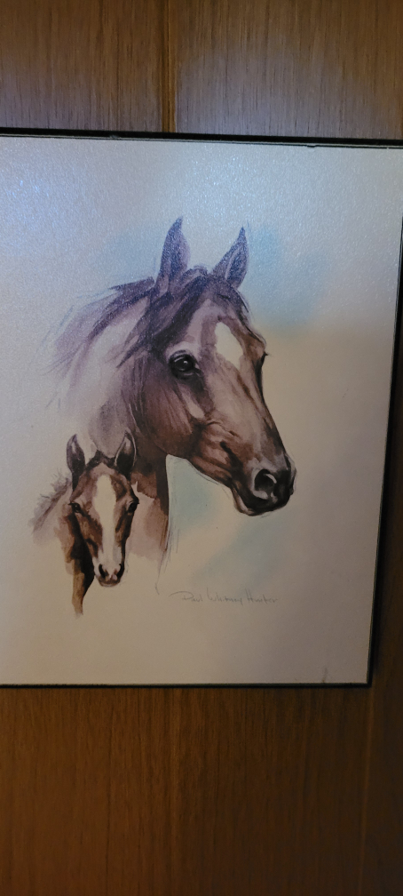 Assortment of Horse Artwork - photo 4