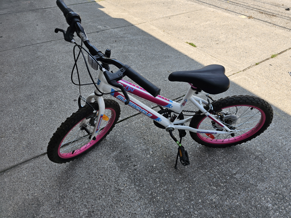 Girl's bicycle image indicator(2)