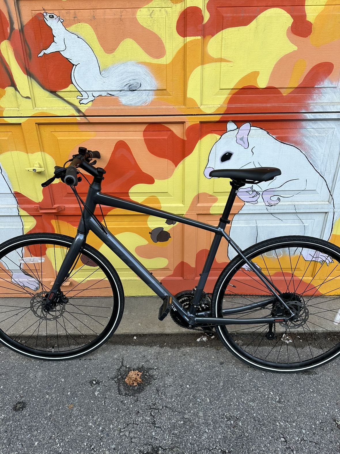 Felt Verza Speed | 56" | ABUS Lock | Fresh Tune - photo 2