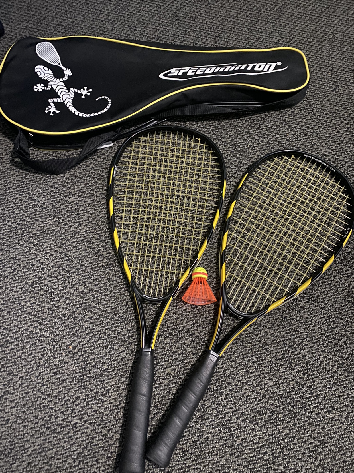 Rare and Barely Used Speedminton/Badminton Set! thumbnail