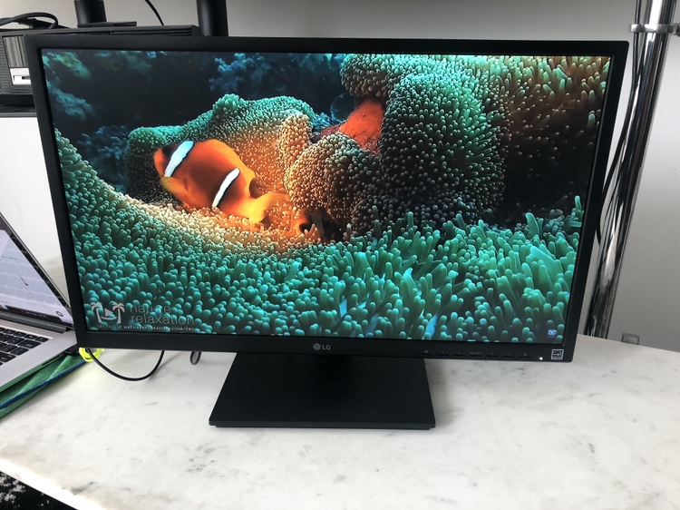 24” LG Monitor thumbnail